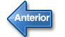 Anterior