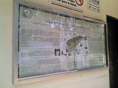 Cartelera
