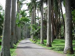 Jardín Botánico UCV