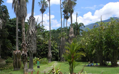 Areas del Jardin Botánico