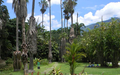 Areas del Jardin Botánico