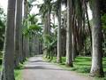 Jardín Botánico UCV