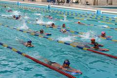 Natación ucevista se plantea retos de alto nivel