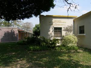 Instituto de Medicina Veterinaria y Cirugía Experimental
