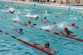 Natación ucevista se plantea retos de alto nivel